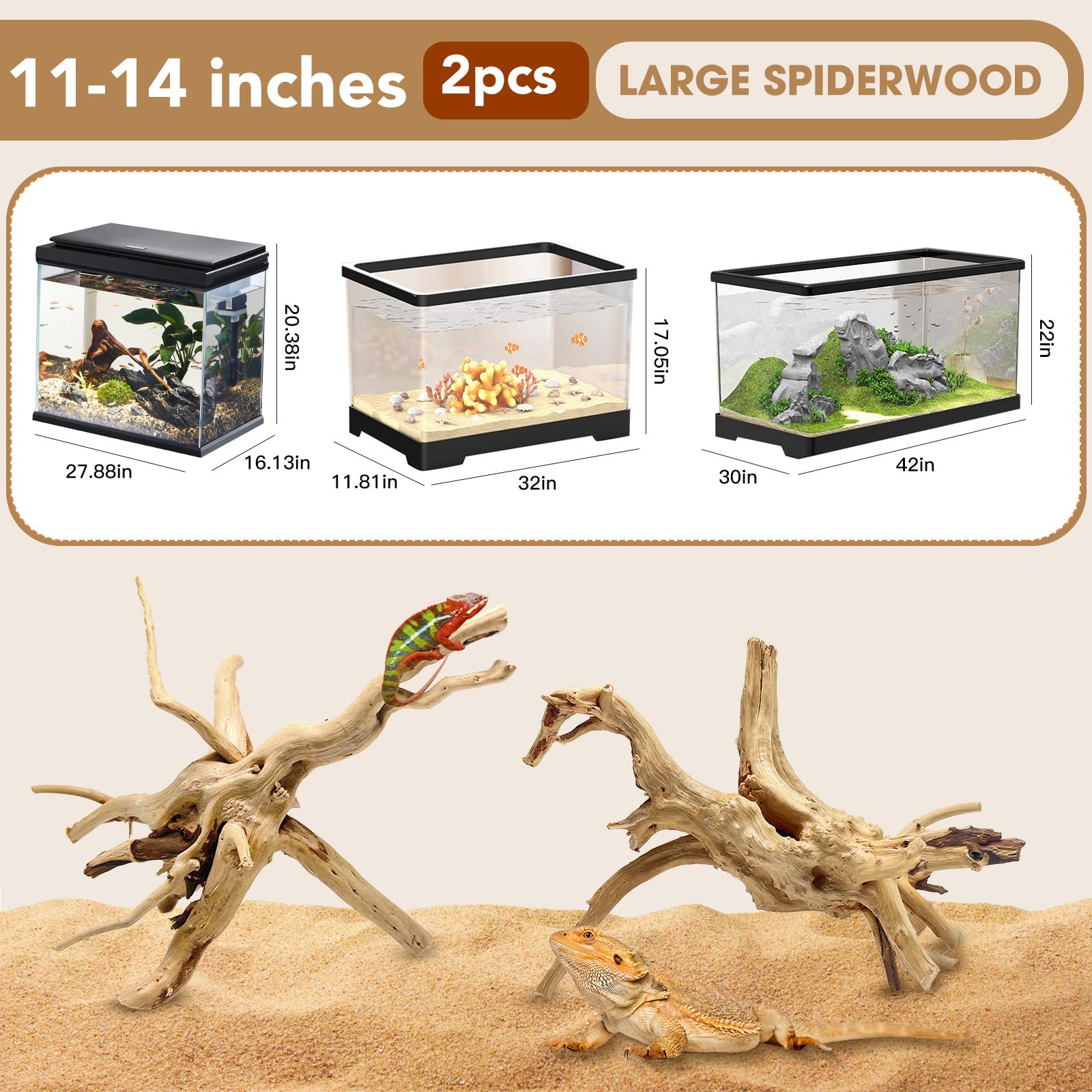 Jorewood spiderwood gros plan texture rugueuse idéale pour fixation de mousse