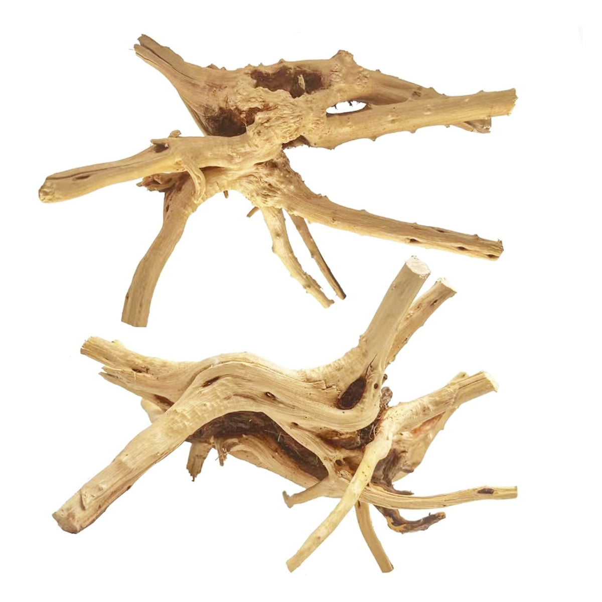 Jorewood spiderwood face avant montrant silhouette naturelle et intérêt décoratif