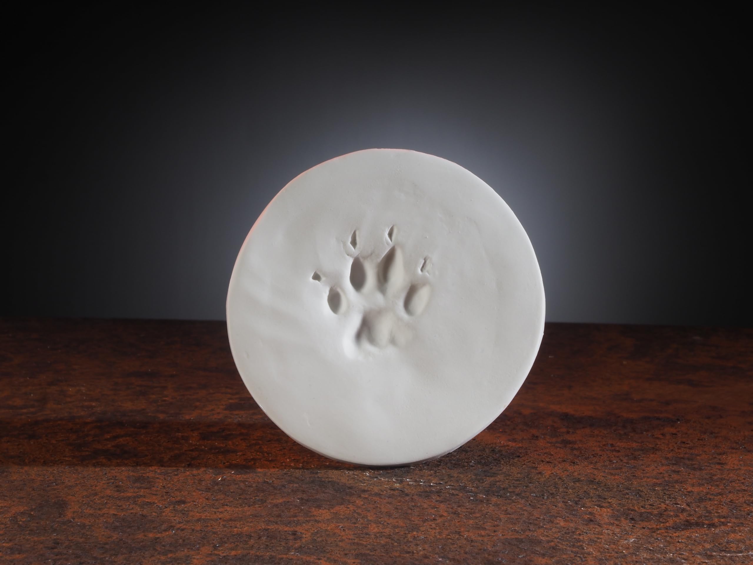 JorVet ClayPaws contenu avec instructions et accessoires pour usage clinique rapide