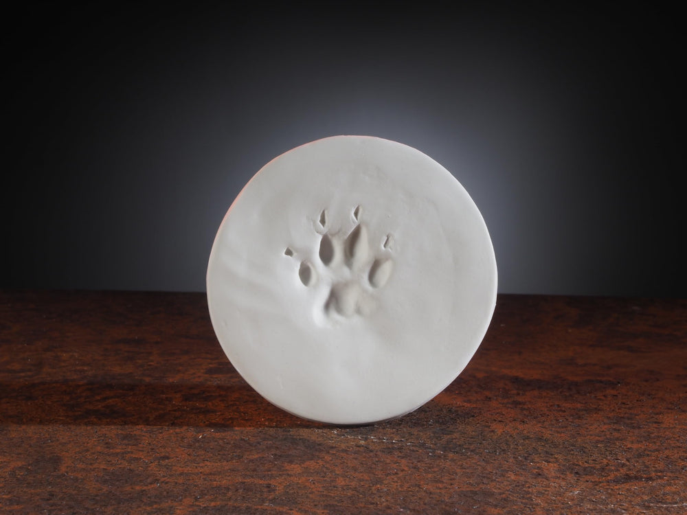 JorVet ClayPaws contenu avec instructions et accessoires pour usage clinique rapide