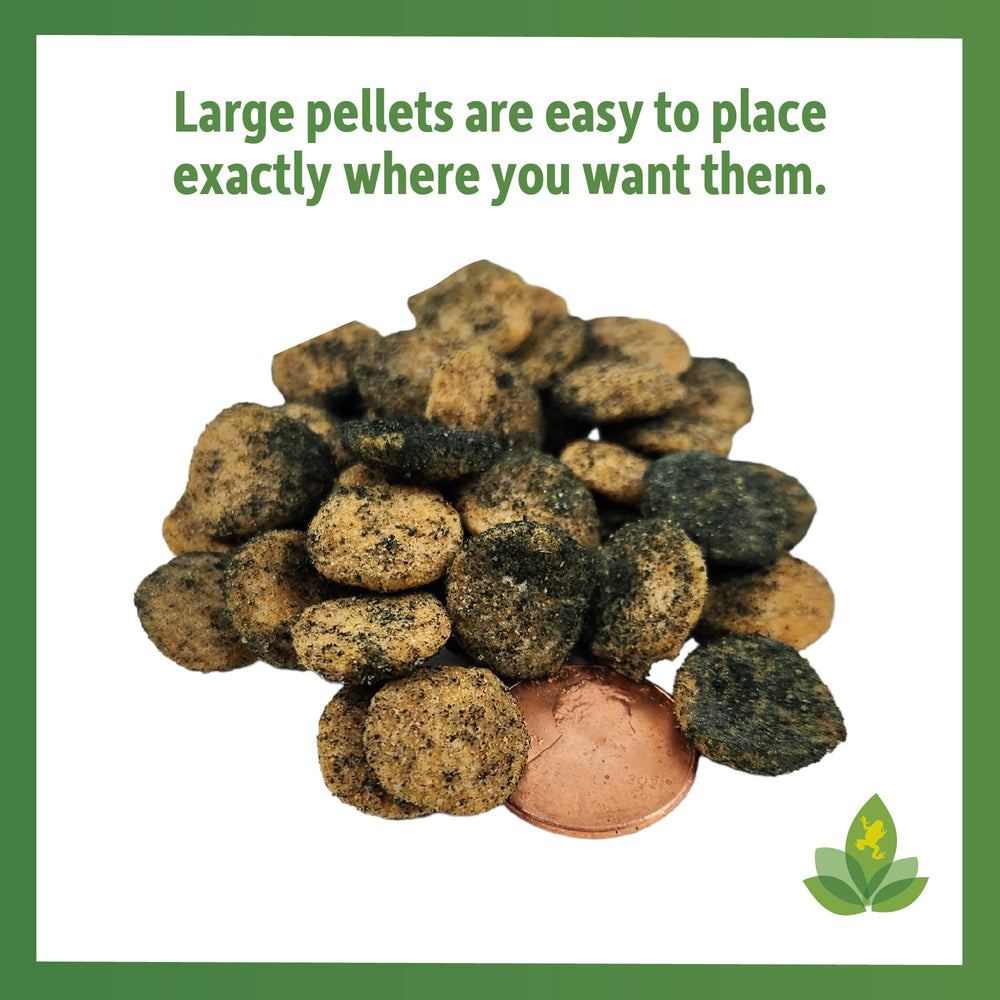 Josh's Frogs microfaune mangeant pellets bénéfice pour cycle bioactif
