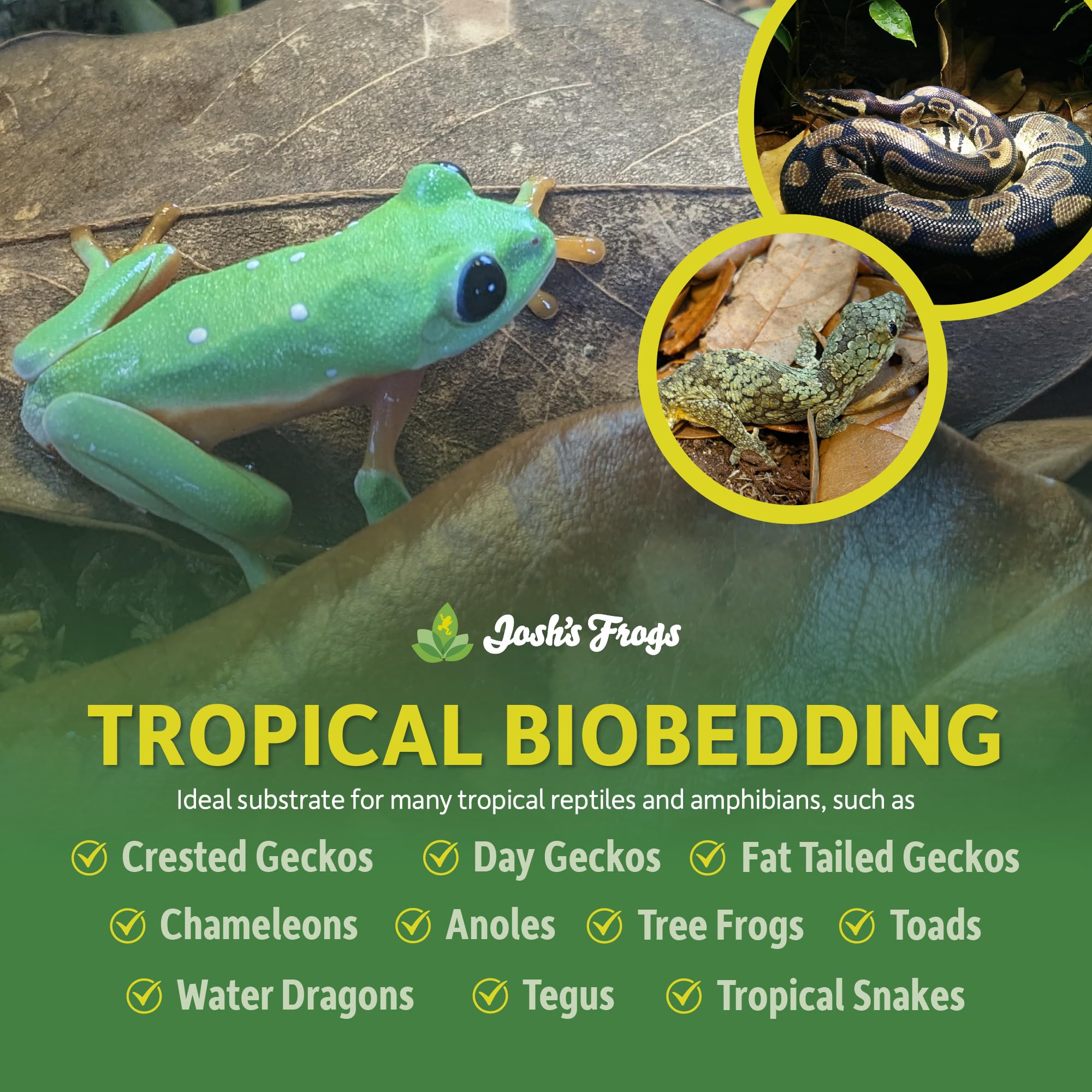 Josh's Frogs gros plan texture du substrat utile pour rétention d'humidité