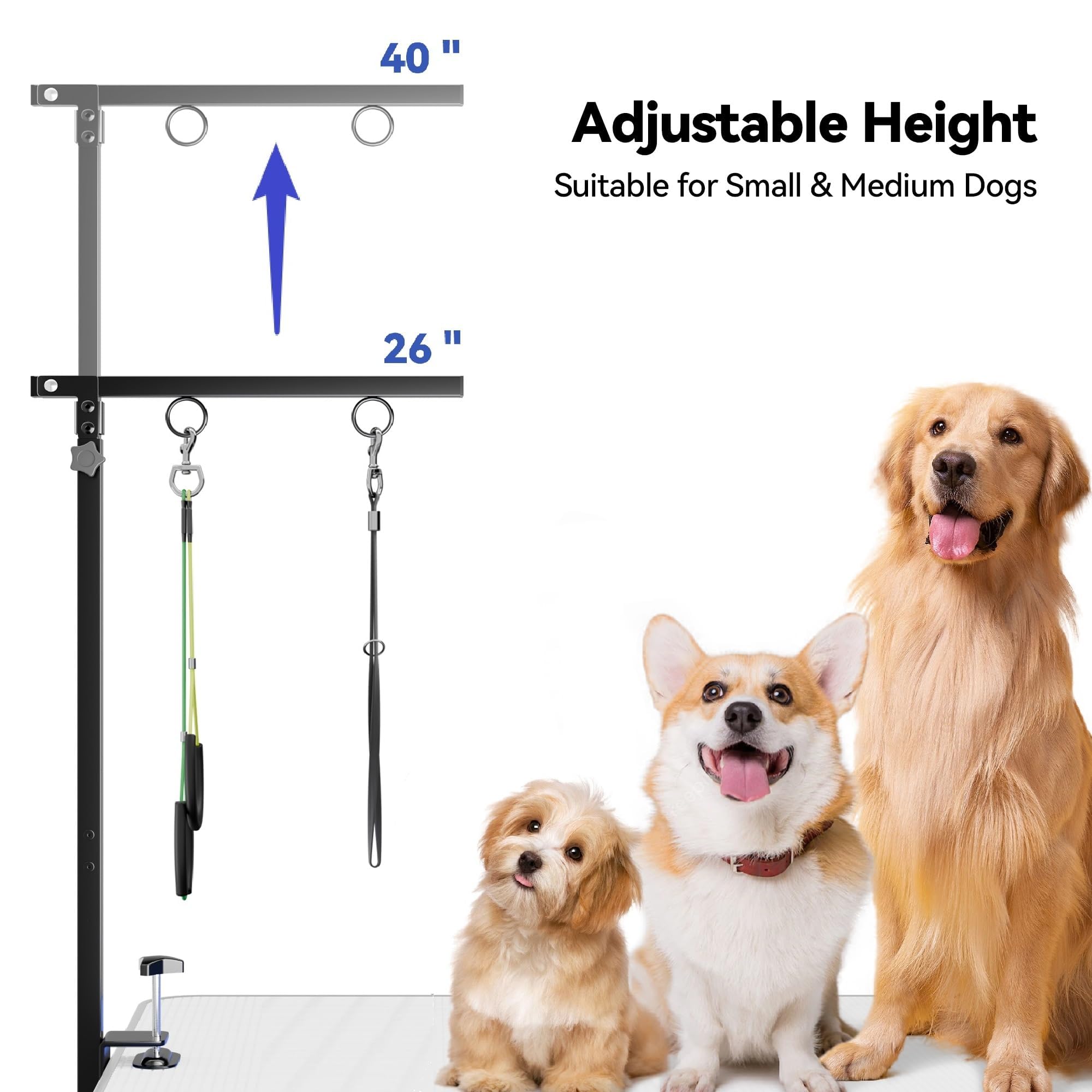 Josmimic chien sur table en usage sécurité et calme
