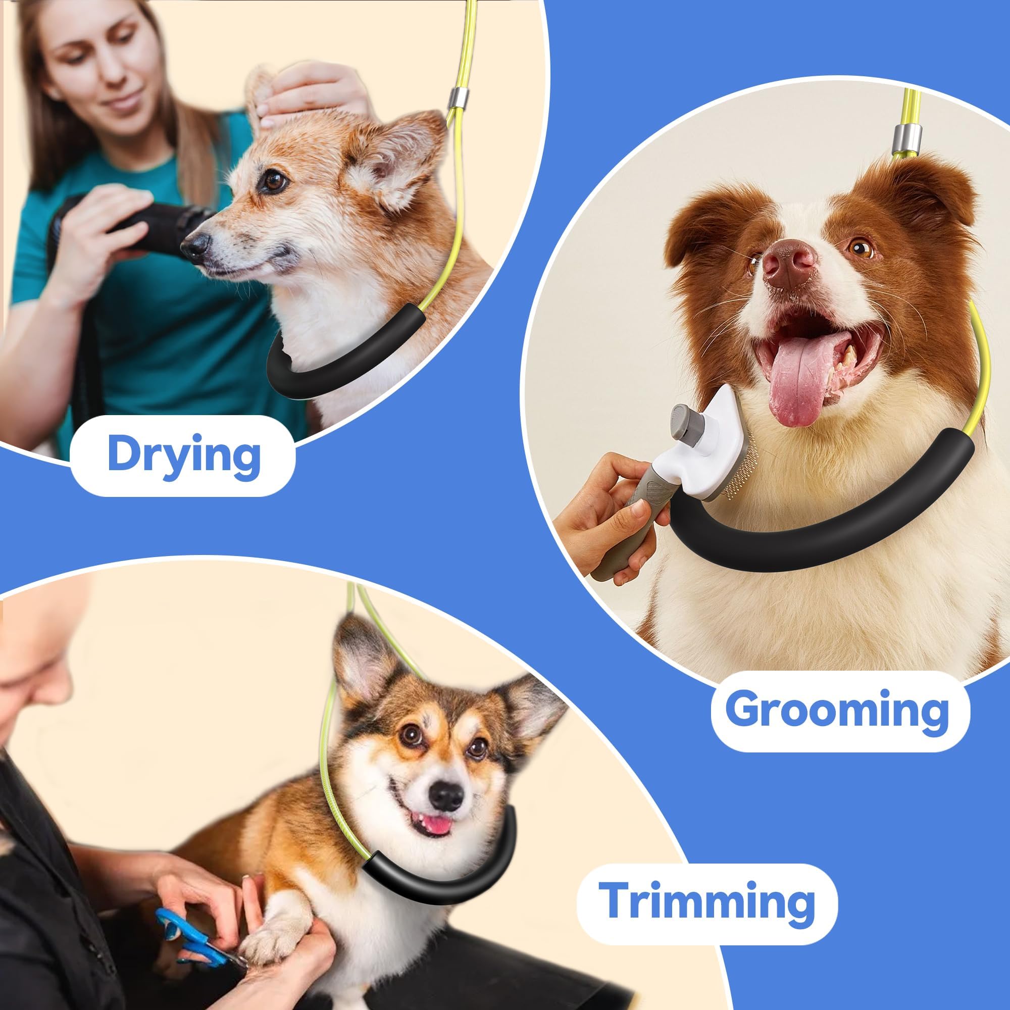 Josmimic comparaison taille chien démontrant compatibilité