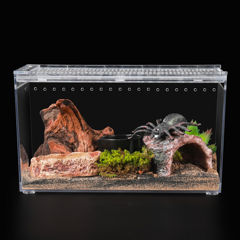 JoviQ vue avant du terrarium montrant la transparence et la sécurité