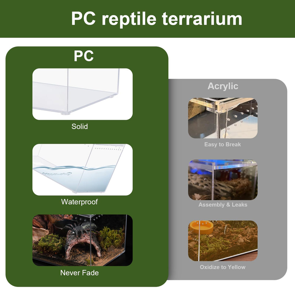 JoviQ terrarium en situation avec tarentule pour observation sécurisée