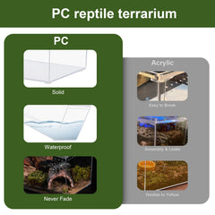 JoviQ terrarium en situation avec tarentule pour observation sécurisée
