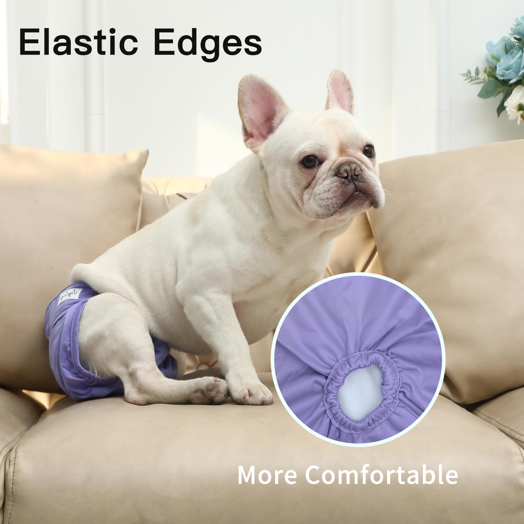 JoyDaog quatre couleurs unies exposées ensemble, choix esthétique pratique