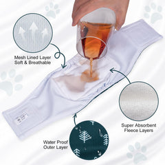 JoyDaog ceinture portée par un chien mâle, protection discrète efficace