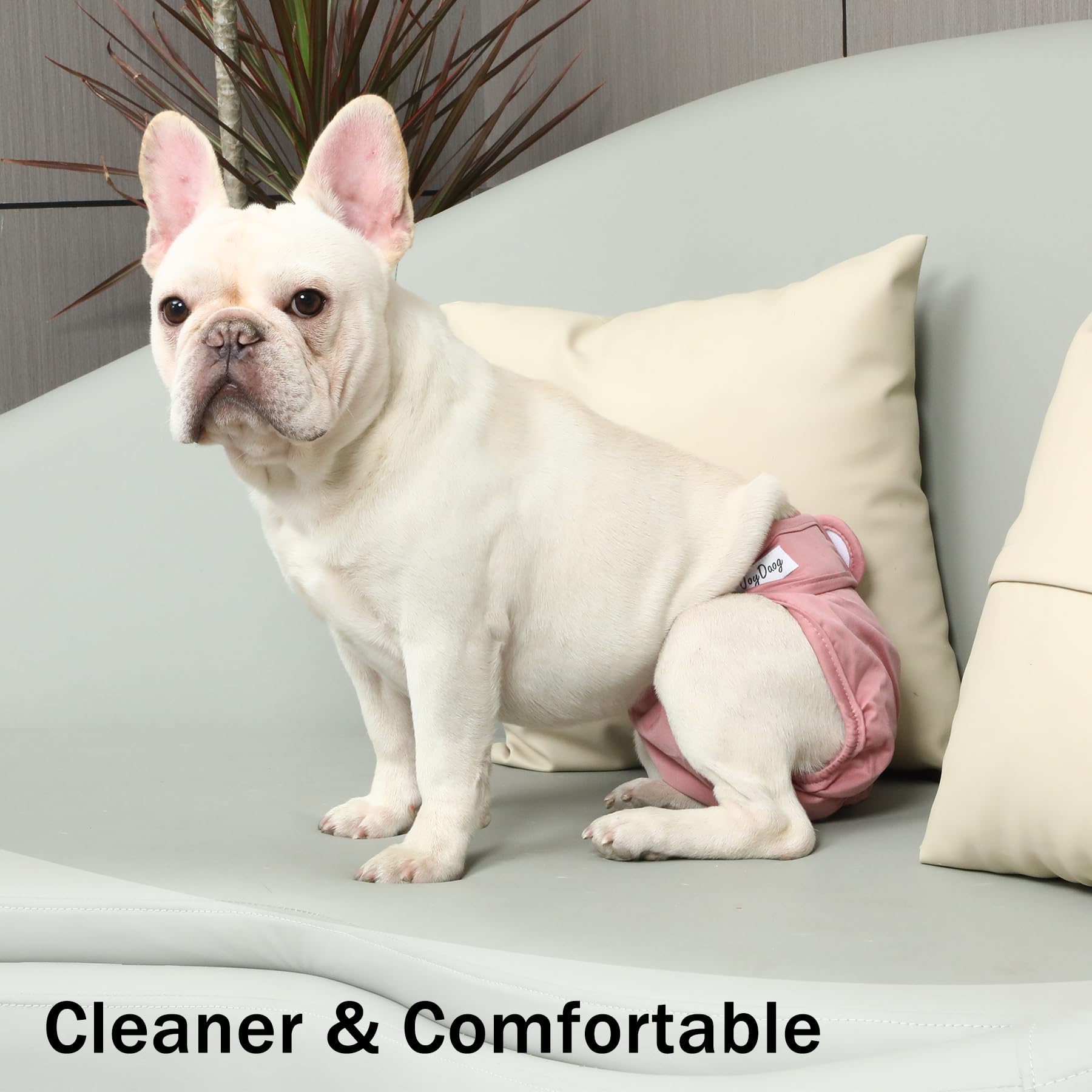 JoyDaog coutures renforcées et plis montrant durabilité pour lavages répétés