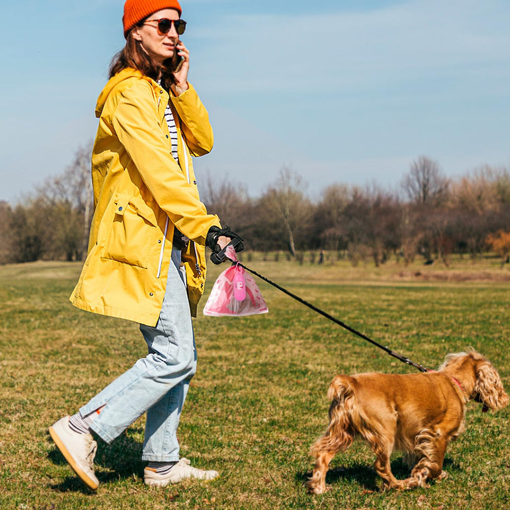JOYEUX scène de promenade urbaine, solution propre et pratique