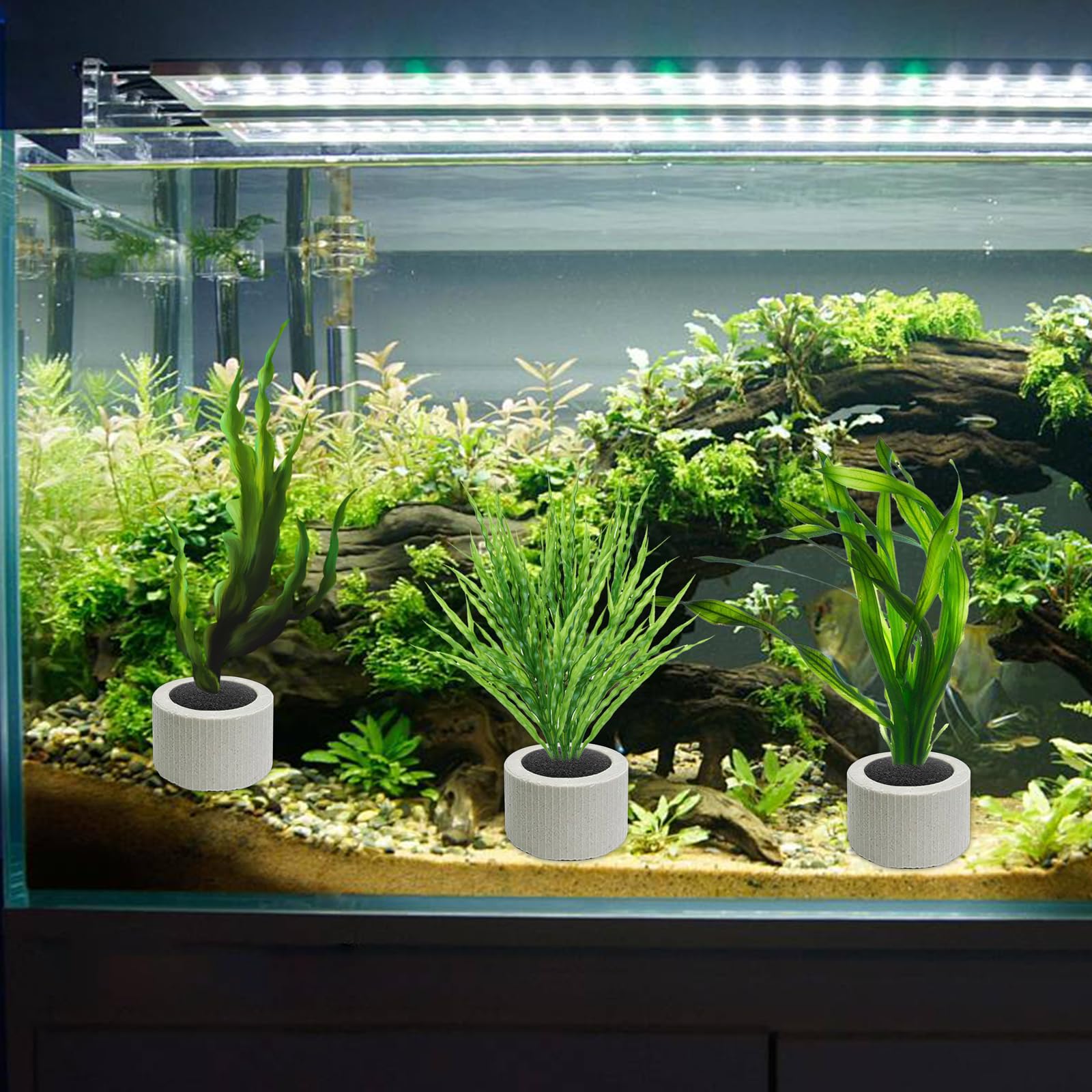 JoyHuaTrade aquarium aménagé, améliore esthétique et ordre
