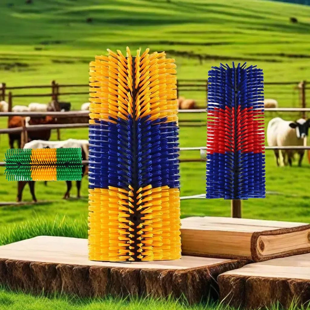 Joynny brosse dans ferme illustrant robustesse en extérieur
