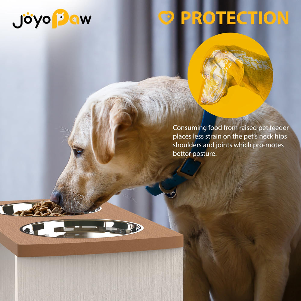 JOYOPAW deux bols inox 48 oz prêts à l'emploi, faciles à nettoyer