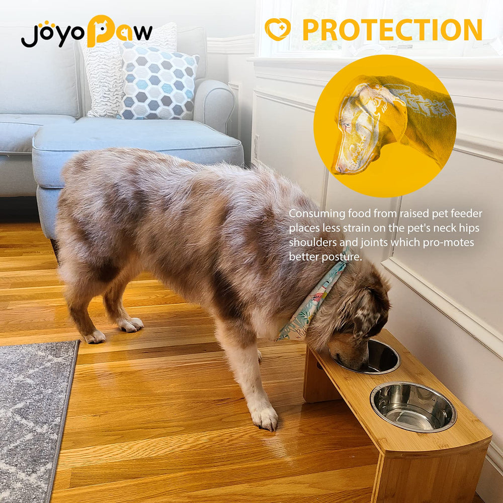 JOYOPAW comparaison taille avec chien moyen pour échelle