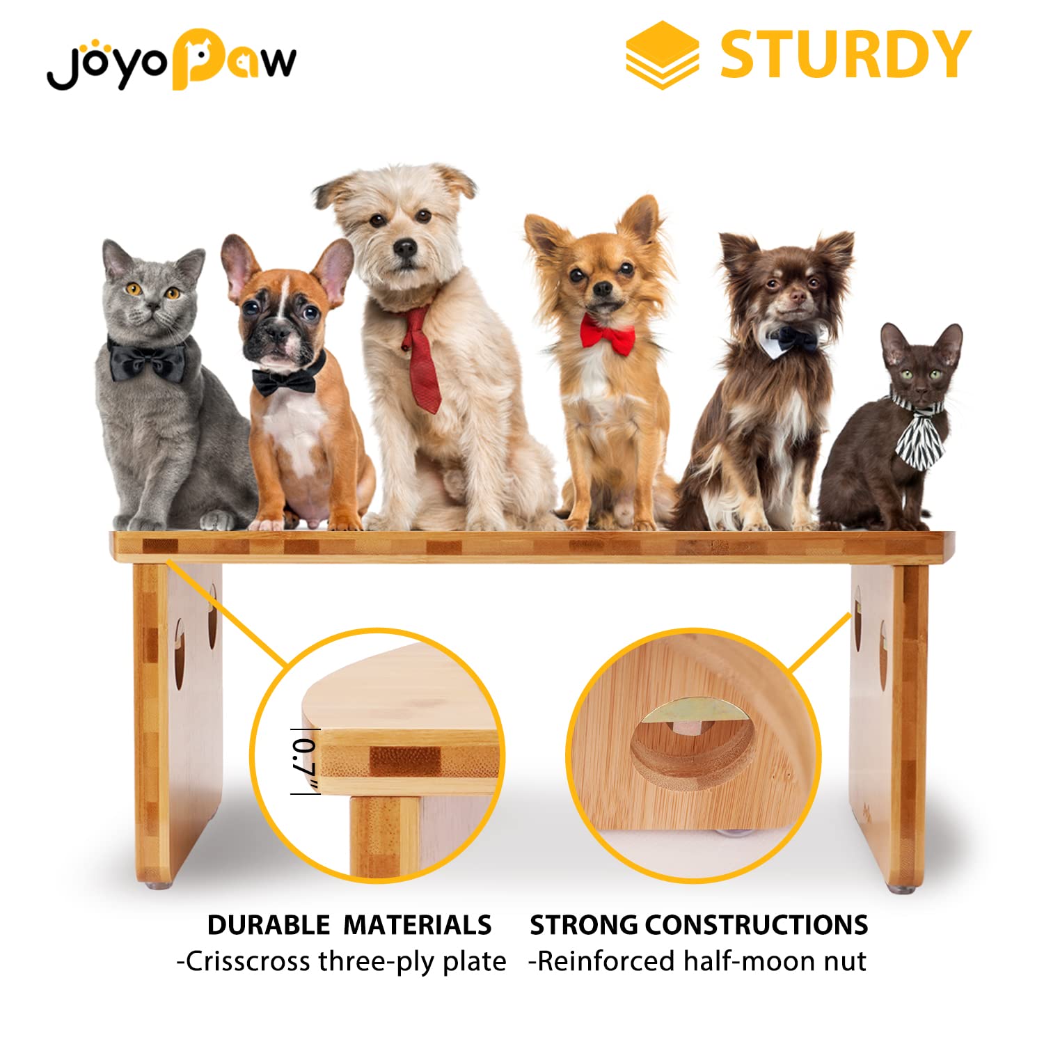 JOYOPAW support en usage dans cuisine, maintien des bols et propreté optimisée