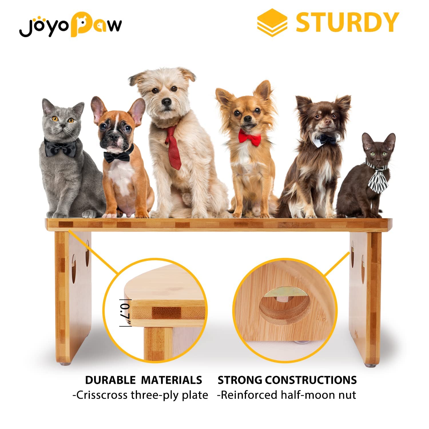 JOYOPAW gamelles en usage dans une cuisine, repas calme et propre
