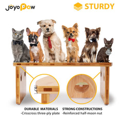JOYOPAW gamelles en usage dans une cuisine, repas calme et propre