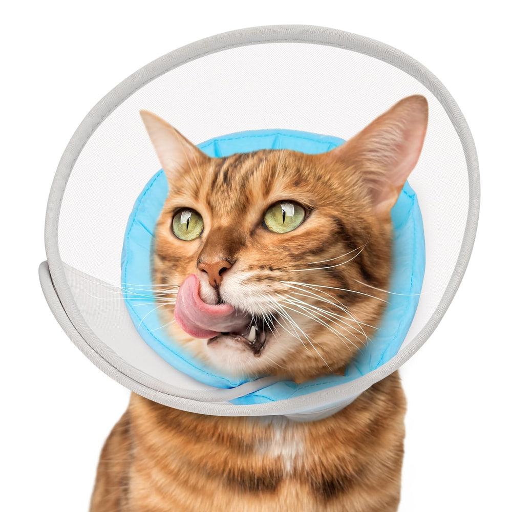Joypig collerette chat face avant montrant protection confortable