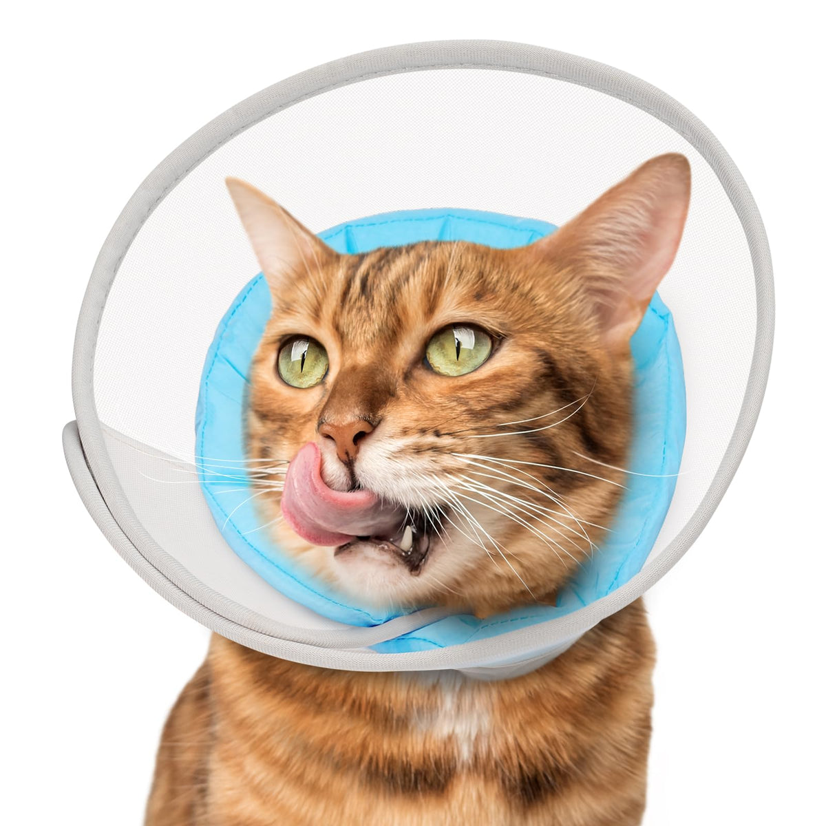 Joypig collerette chat face avant montrant protection confortable