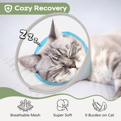 Joypig collerette portée par chat assis permettant manger facilement