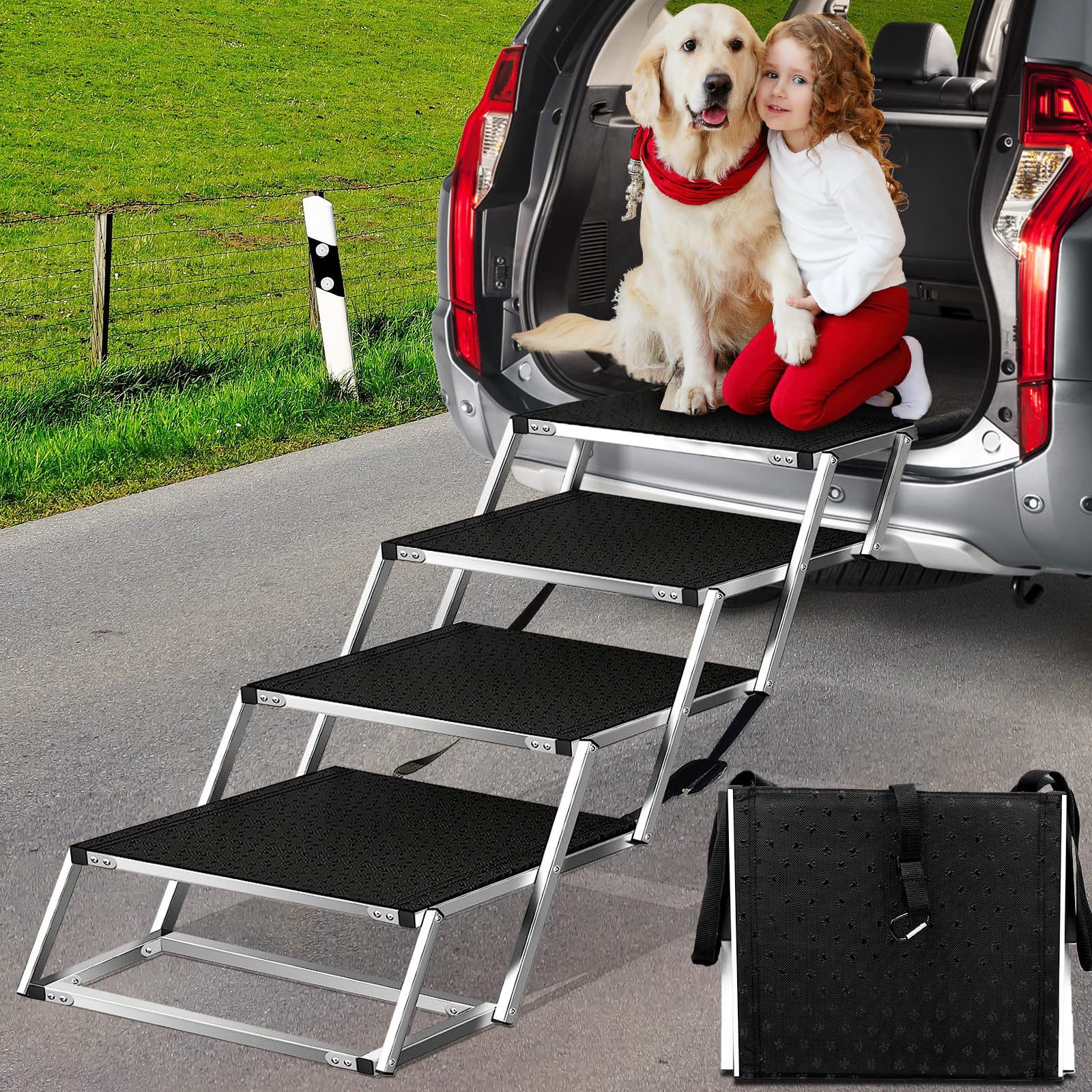 Joyrally comparaison taille avec chien montre capacité et support