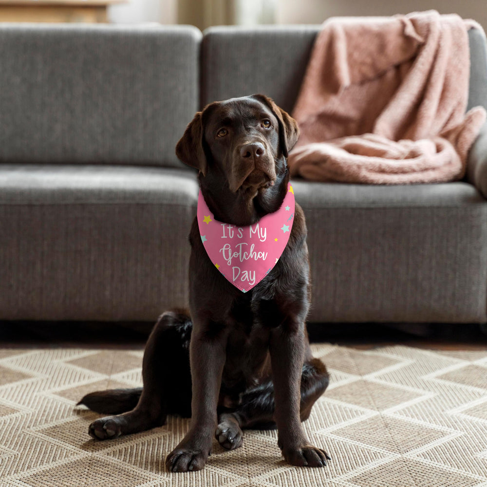 Joyriza bandana portée sur un chien montrant un look festif et attractif pour événements