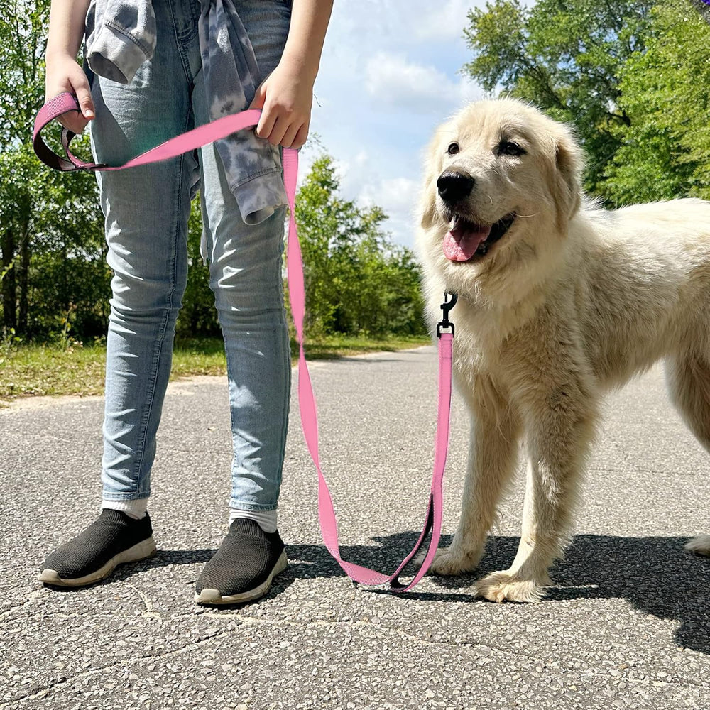 Joytale comparaison d'échelle montrant longueur 5FT adaptée aux grands chiens