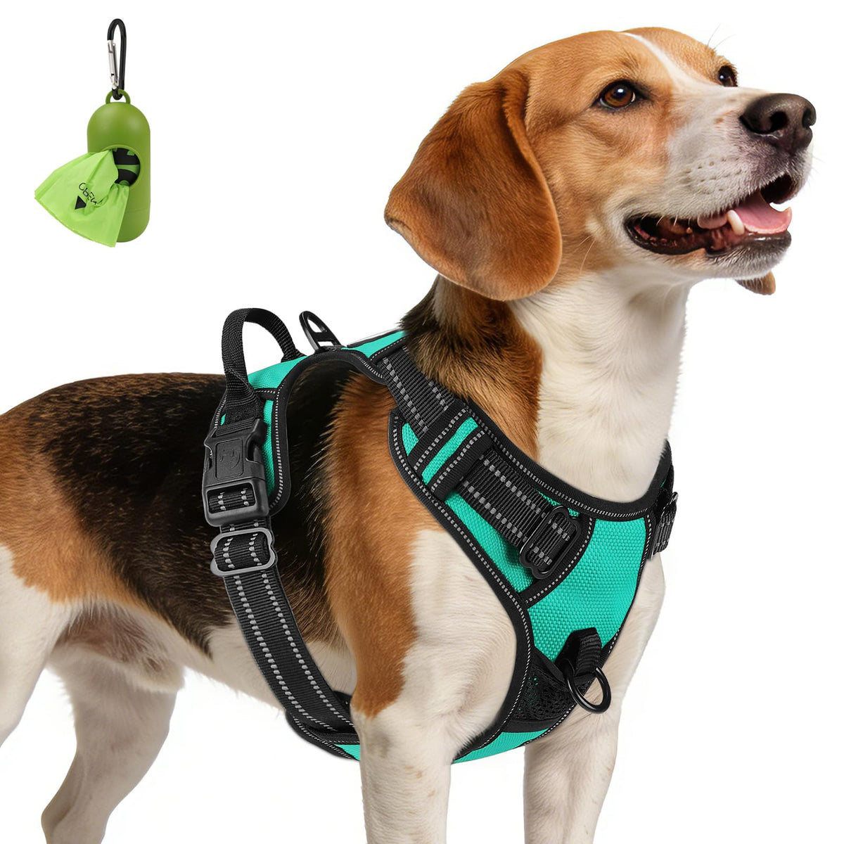 Joytale harnais devants packaging teal montrant design et taille, solidité accrue