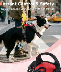 Joytale poignée renforcée en main garantissant contrôle instantané en milieu urbain