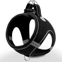 Joytale harnais face avant montrant coupe ergonomique et confort