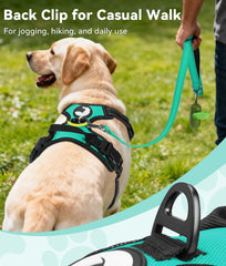 Joytale harnais porté par chien en promenade, réduit traction et stress