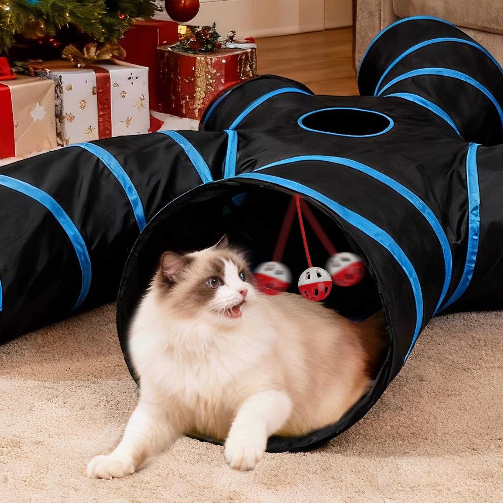 Joytale comparaison d'échelle montrant l'espace adapté pour chats adultes