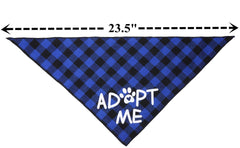 JPB chien portant bandana adopt me en refuge invitant aux caresses et interactions