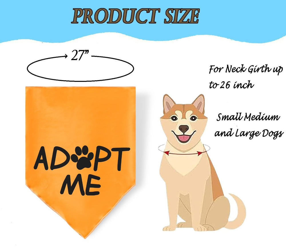 JPB chien en parc portant bandana Adopt Me augmentant l’attention