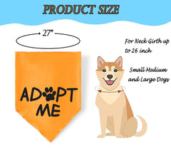 JPB chien en parc portant bandana Adopt Me augmentant l’attention