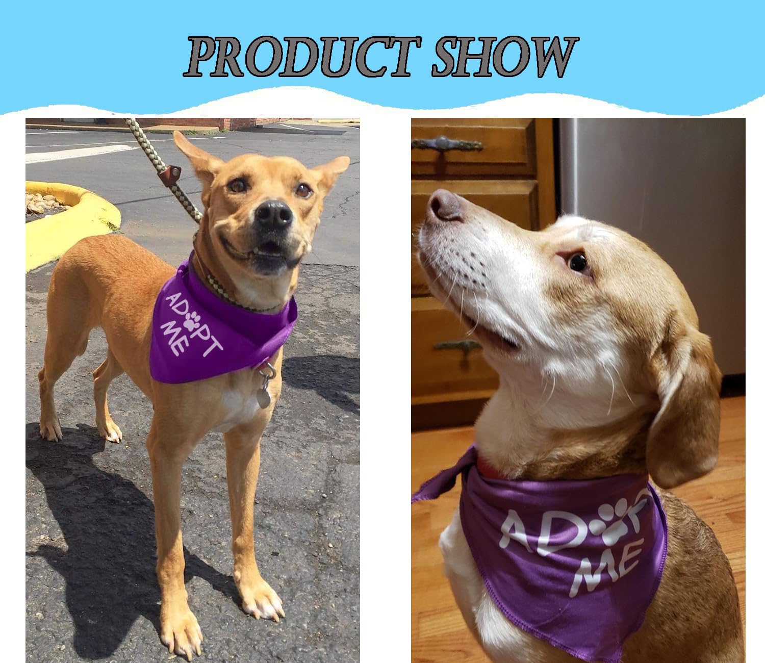 JPB comparaison taille bandana montrant adaptation aux grands chiens