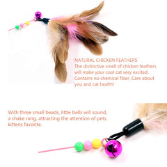 JTQXX Sanpink gros plan sur plumes naturelles, attire visuellement le chat