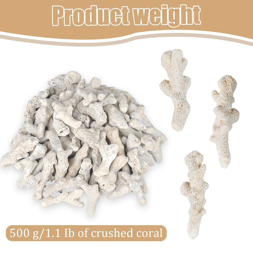 Jtuxcke gros plan sur texture corail apportant surface filtrante utile
