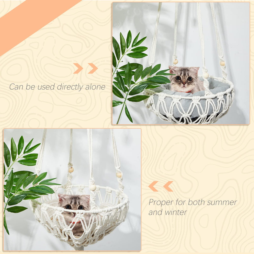 Juexica hamac en usage avec chat montant et se relaxant