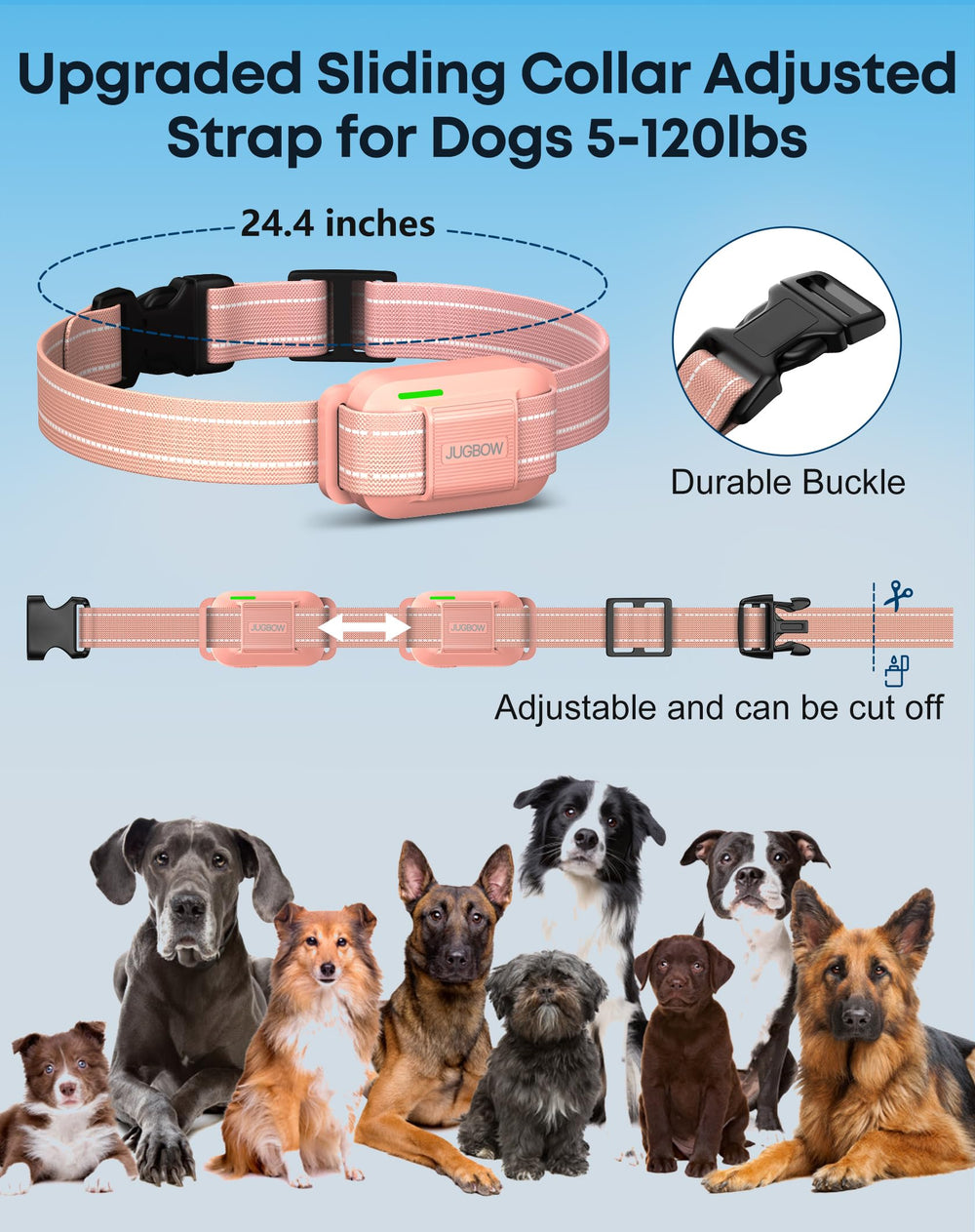 Jugbow collier porté par chien en extérieur pour entraînement fiable