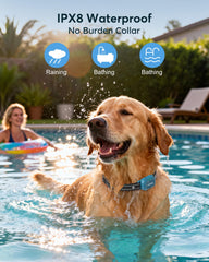 Jugbow collier imperméable dans l'eau démontrant durabilité et usage extérieur