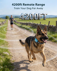 Jugbow collier sur chien en entraînement illustrant maintien sûr et mobilité