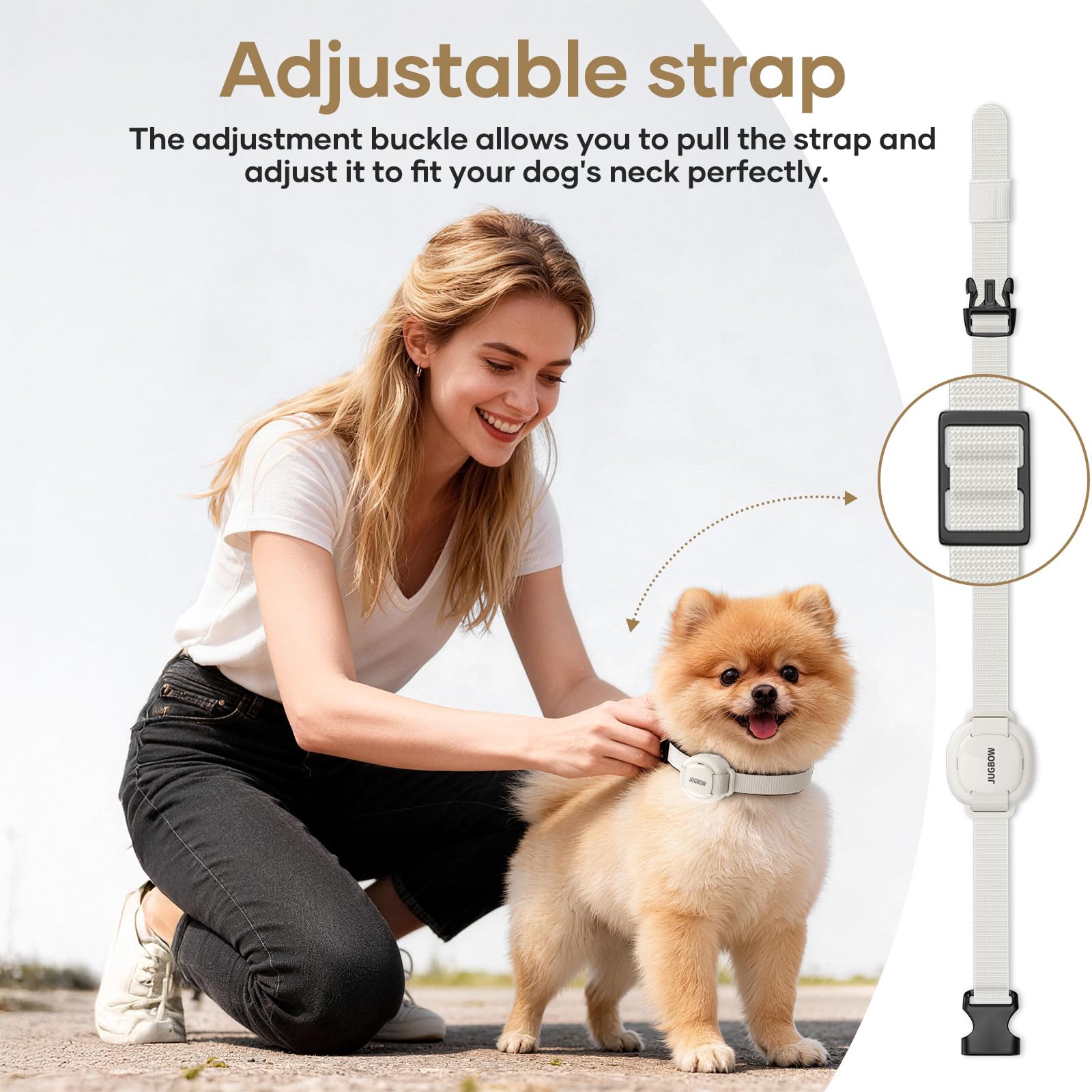 Jugbow collier porté par un petit chien, sécurité et adaptation en usage réel