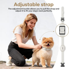 Jugbow collier porté par un petit chien, sécurité et adaptation en usage réel