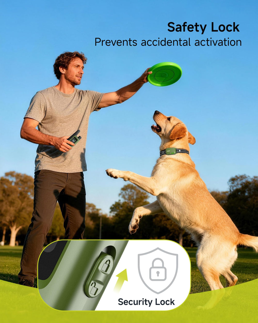 Jugbow collier comparé taille chiot et adulte assurant ajustement adapté