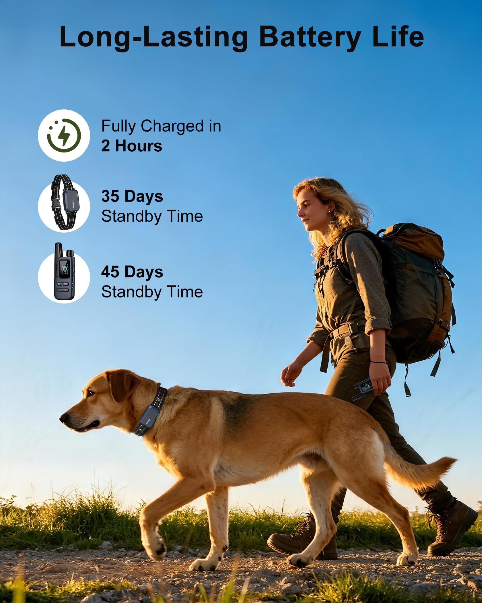 Jugbow comparaison de taille du collier pour ajustement sur différents chiens
