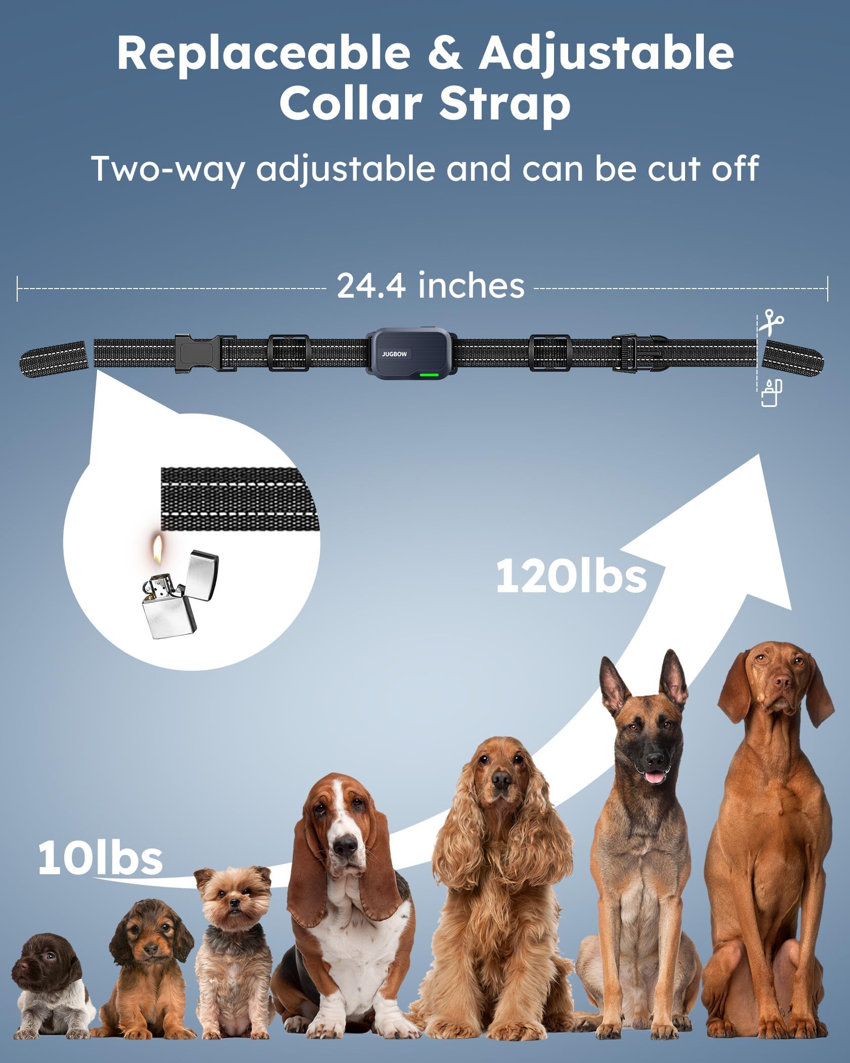 Jugbow comparaison taille du collier pour visualiser ajustement sur différents chiens
