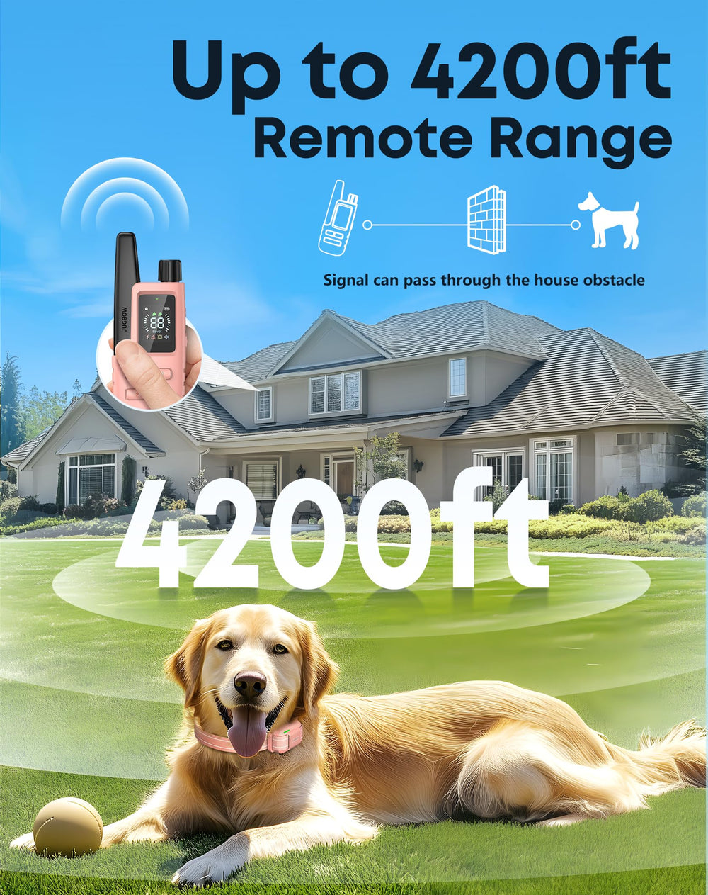 Jugbow fermeture et sangle en nylon doux pour confort du chien