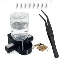 Julang abreuvoir face avant montrant design compact et maintien d'humidité